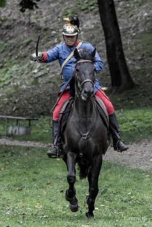 Veveří (165).webp